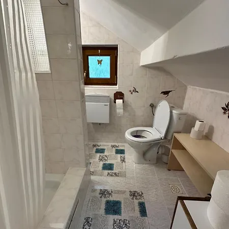 Cingovka Holiday home *