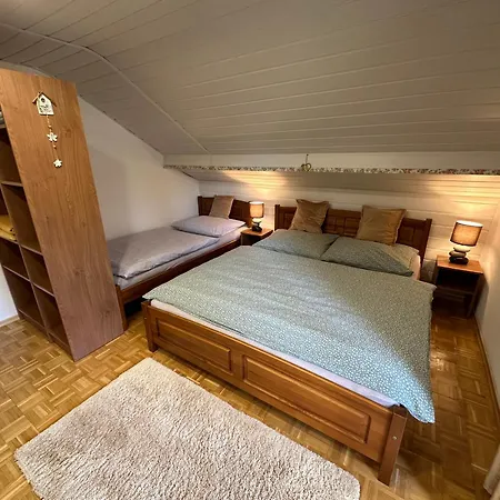 Cingovka Spišské Tomášovce