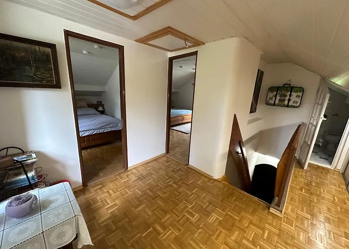 Cingovka * Spišské Tomášovce